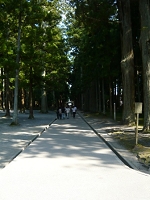 P1090202.JPG